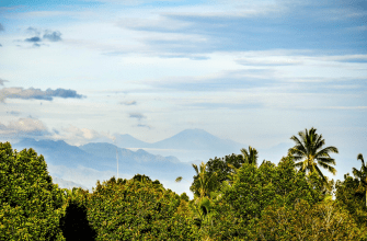 Мундук — блог о путешествии на Бали