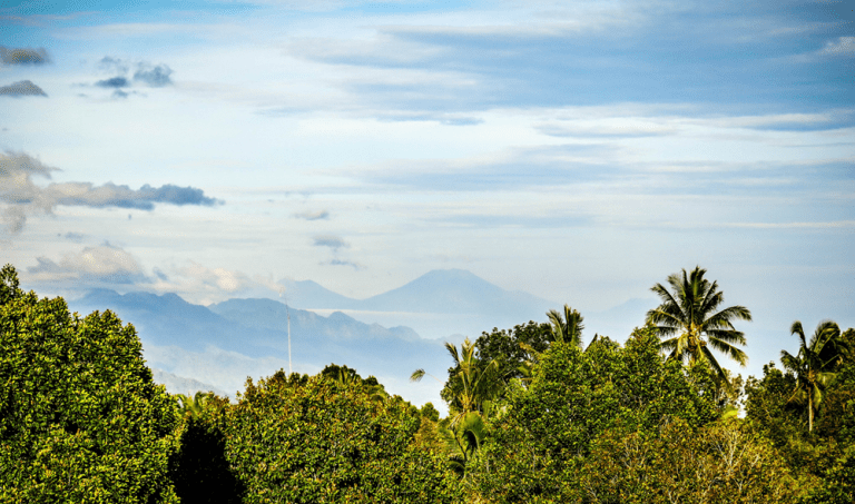 Мундук — блог о путешествии на Бали